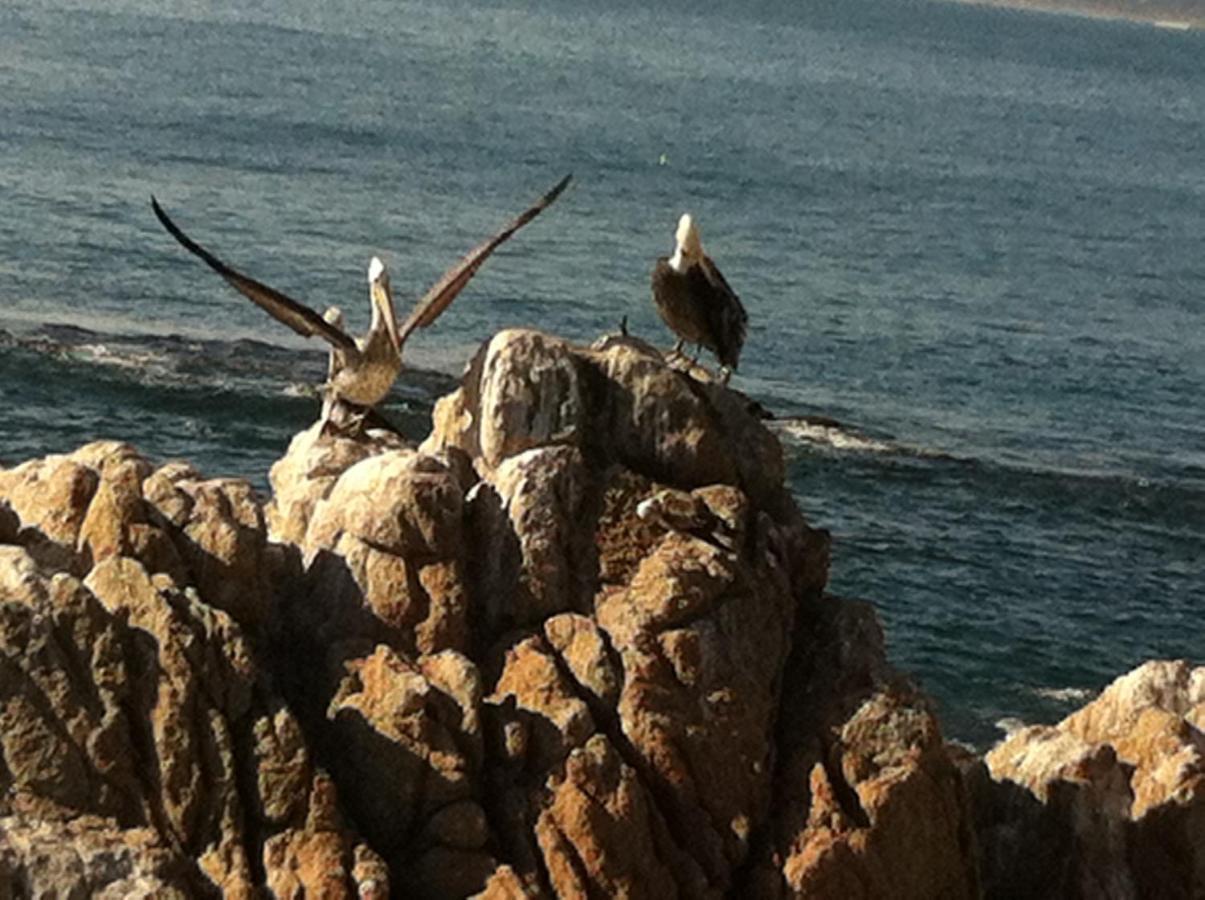 B&B Patrimonial Little Castle Vina del Mar Luaran gambar